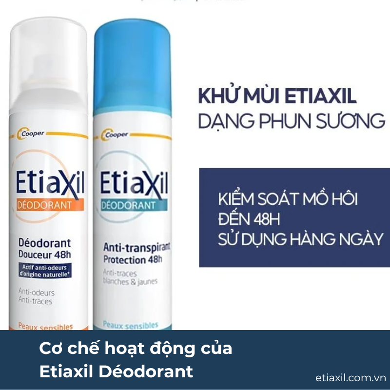 Cơ chế hoạt động của Etiaxil Déodorant
